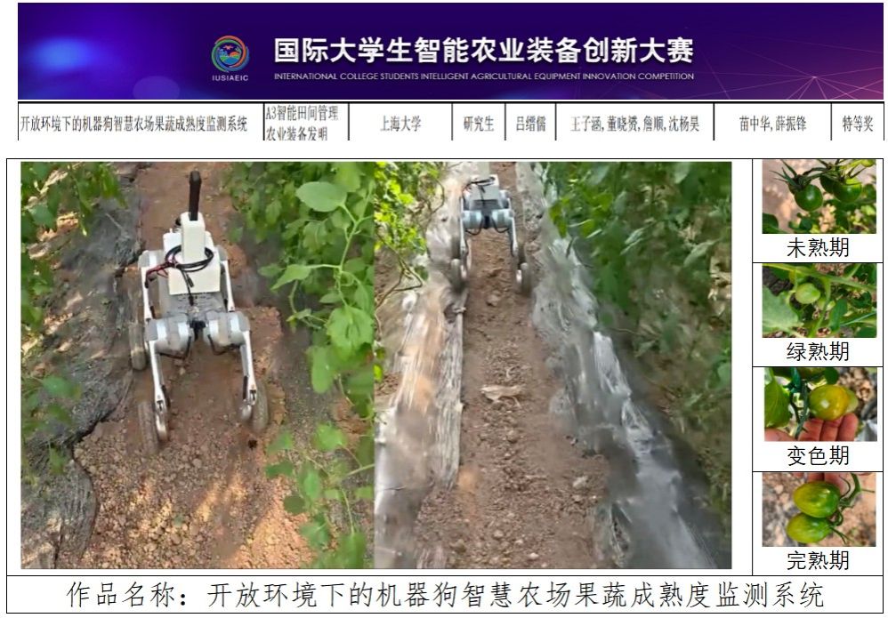 投稿图.jpg