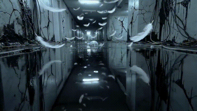W2-Leo 00_00_00-00_00_30.gif